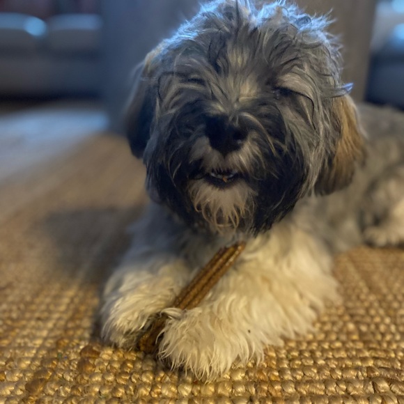 Meet your Posher, Laura - Picture 1 of 1